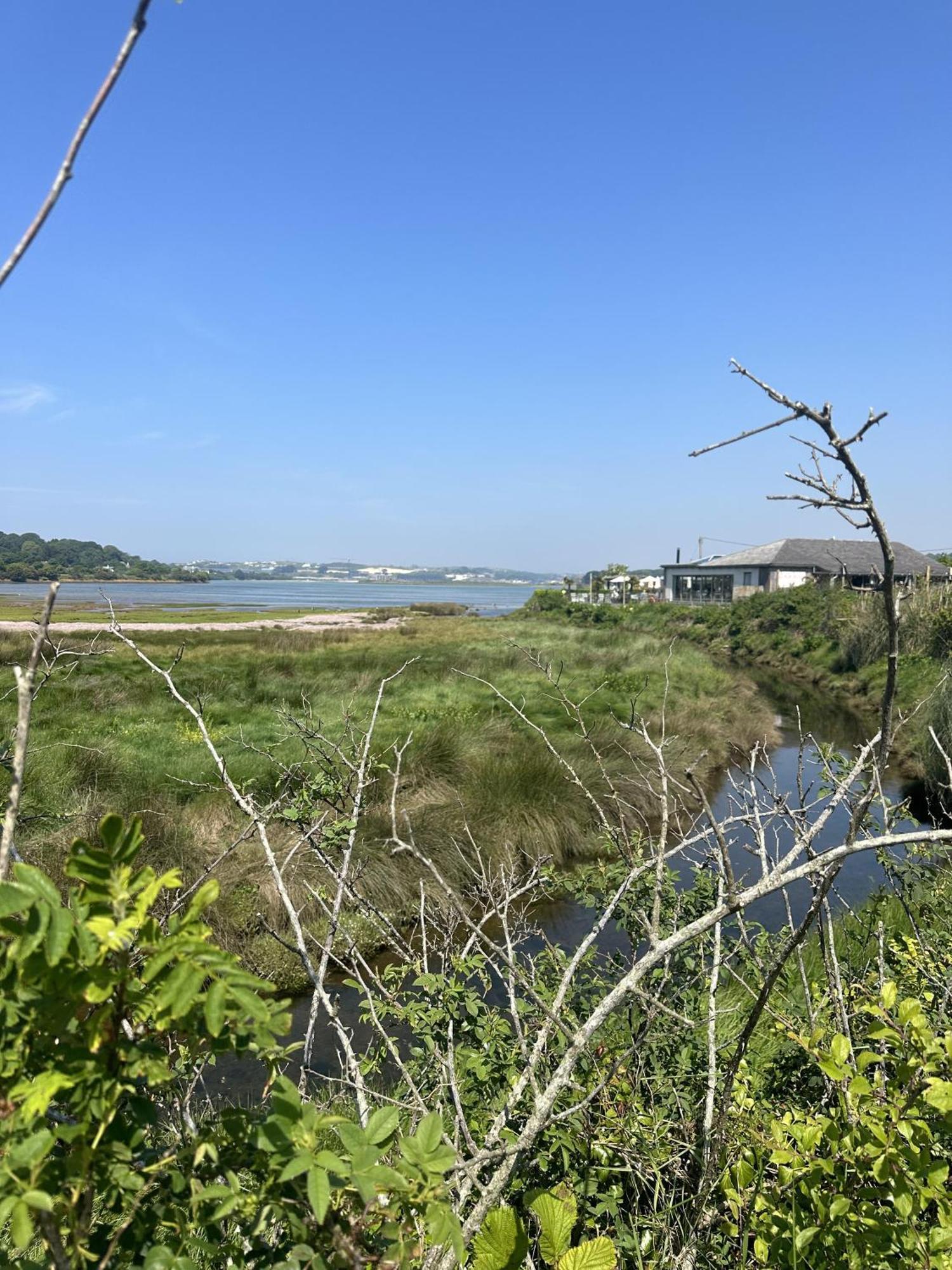 Cozy Coastal Lodge In Hayle Ngoại thất bức ảnh